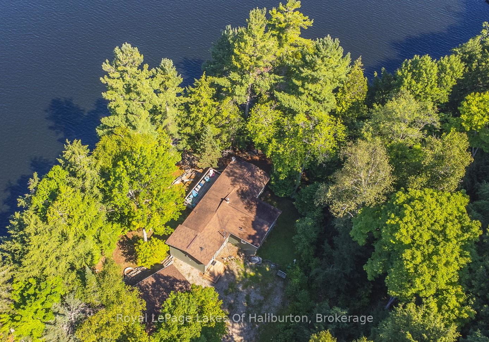 1358-kushog-lake-road-algonquin-highlands-ontario-x12232114