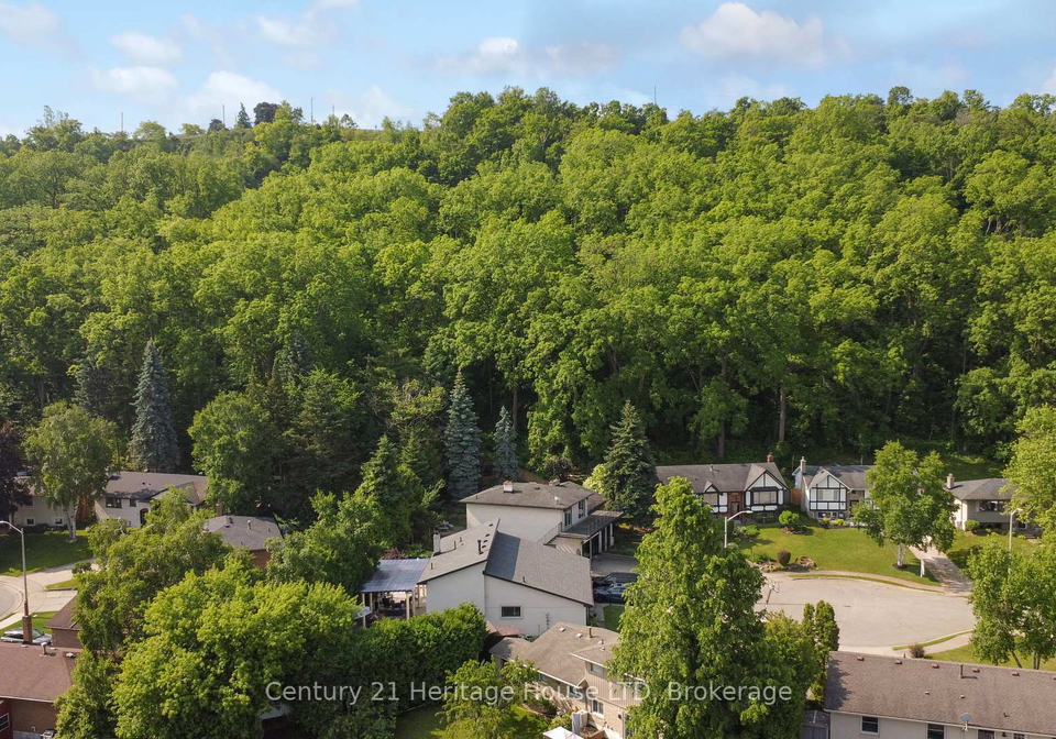 38-palm-court-hamilton-ontario-x12233457