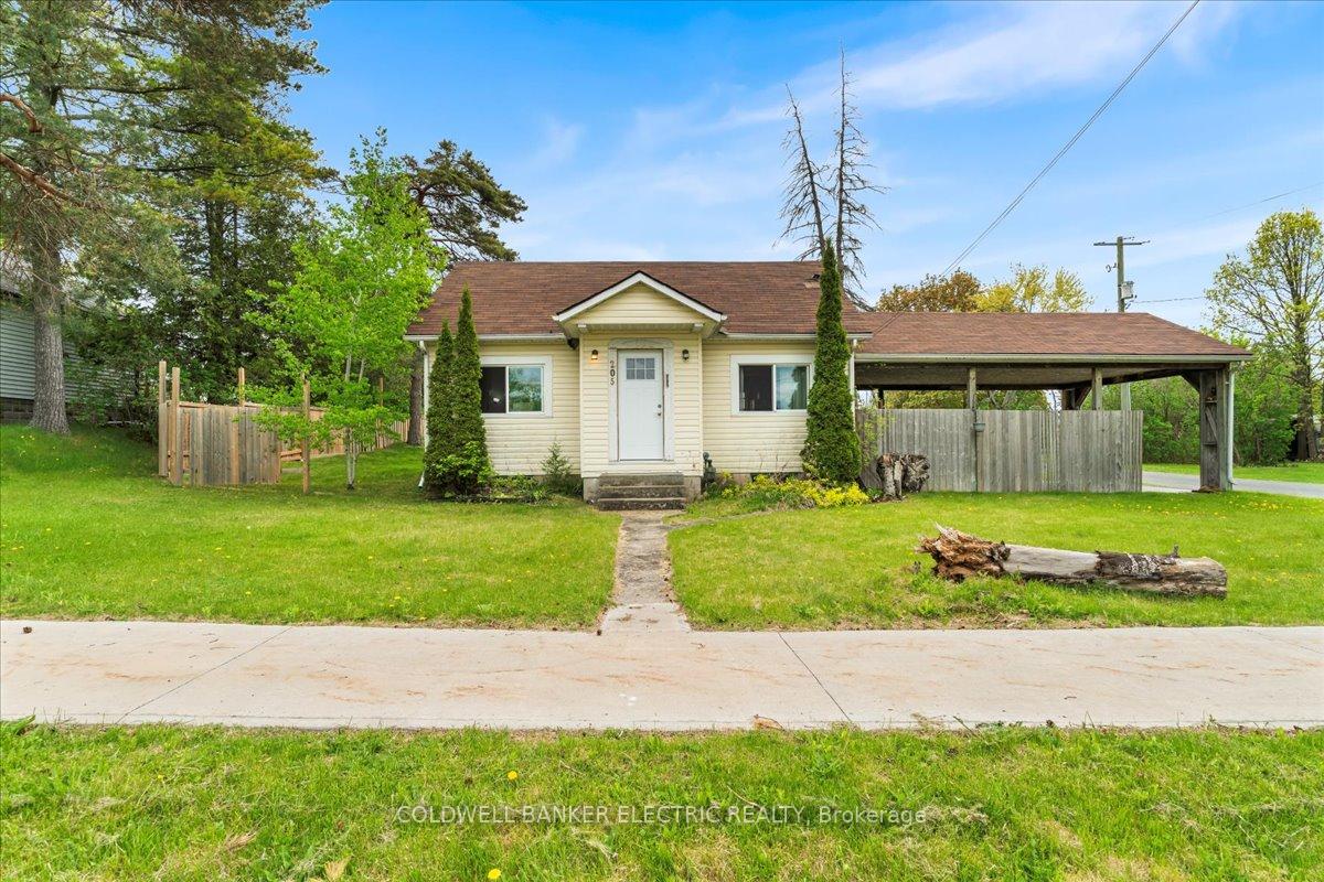 205-wallace-street-trent-hills-ontario-x12235017