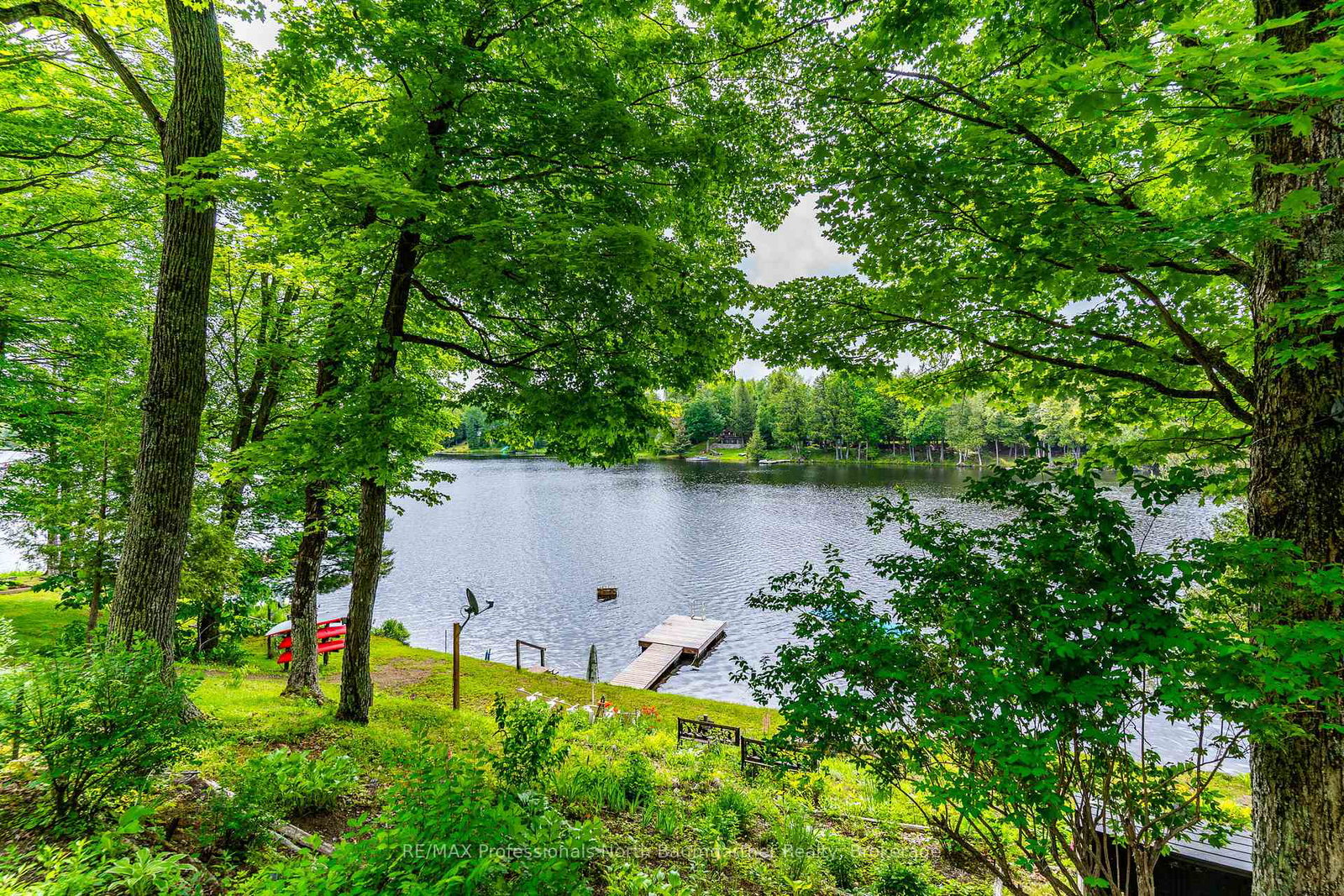 1141-trooper-lake-drive-highlands-east-ontario-x12236448