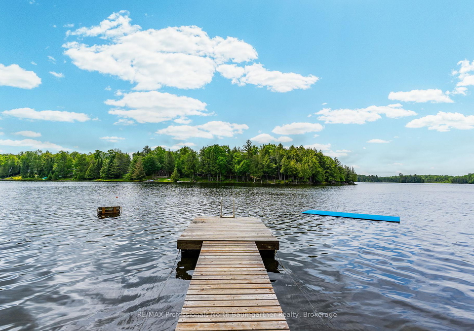 1141-trooper-lake-drive-highlands-east-ontario-x12236448