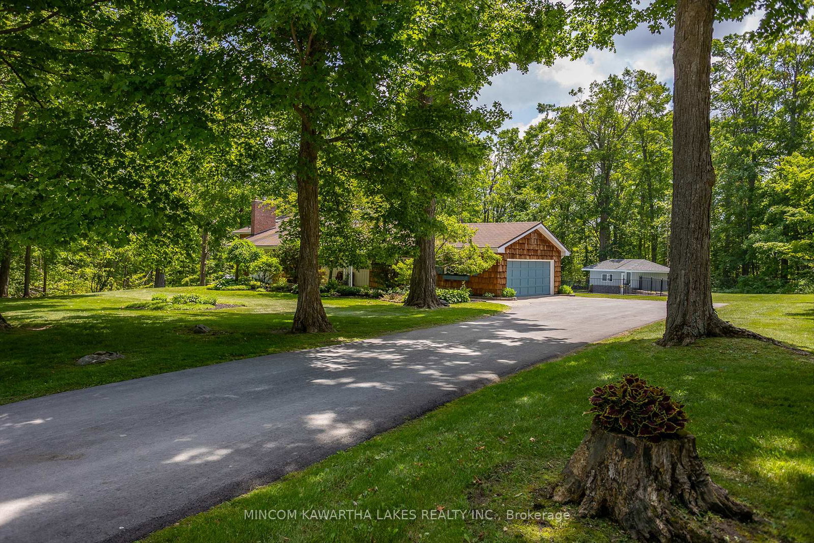 1467-sixth-line-selwyn-ontario-x12241656