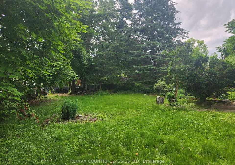 7-beechwood-drive-peterborough-west-ontario-x12247292