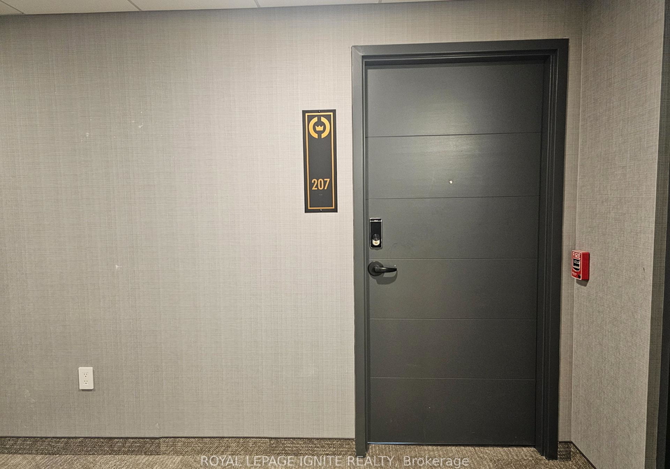 223-princess-street-kingston-ontario-x12247420