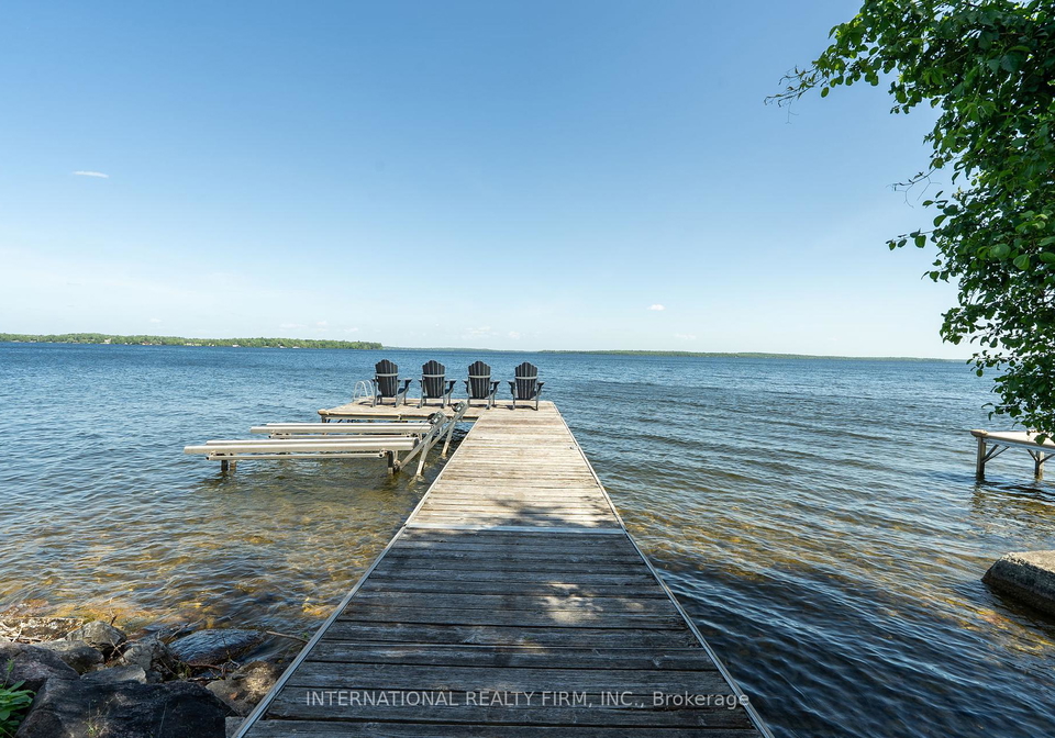 49-cedar-dale-drive-kawartha-lakes-ontario-x12247567