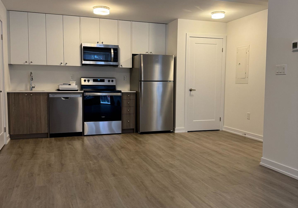 40-palace-street-kitchener-ontario-x12247685
