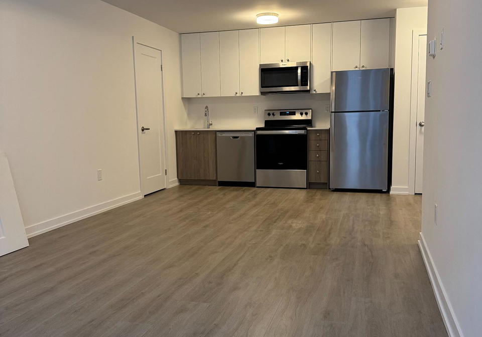 40-palace-street-kitchener-ontario-x12247685