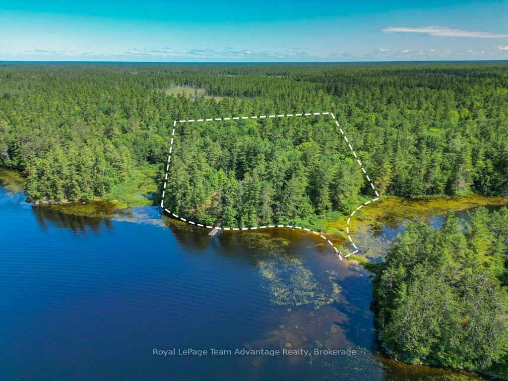 49-harris-lake-wa-parry-sound-remote-area-ontario-x12247952