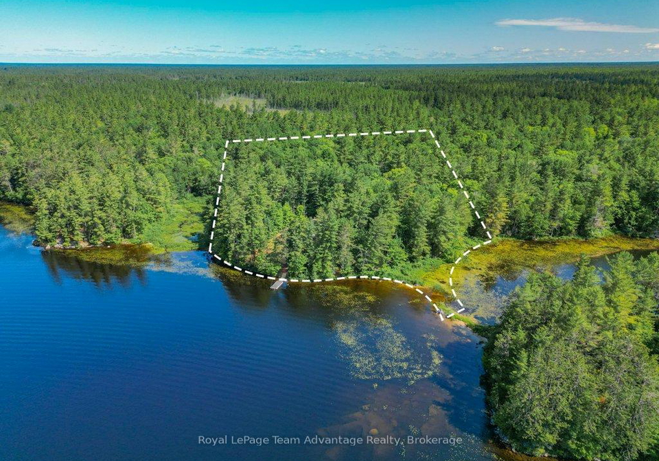 49-harris-lake-wa-parry-sound-remote-area-ontario-x12247952