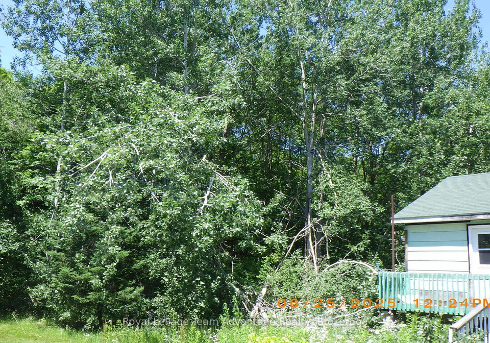 613-high-street-georgian-bay-ontario-x12248353