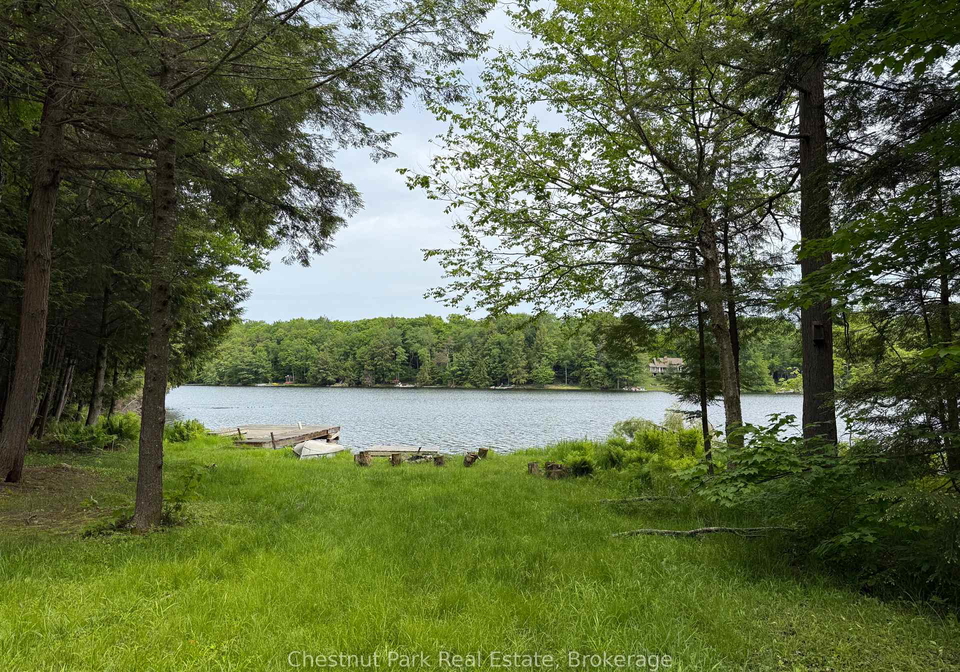 431-websters-lane-georgian-bay-ontario-x12249792