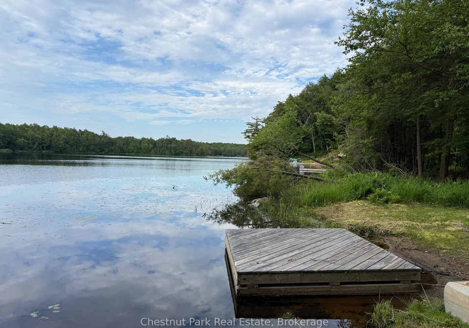 431-websters-lane-georgian-bay-ontario-x12249792