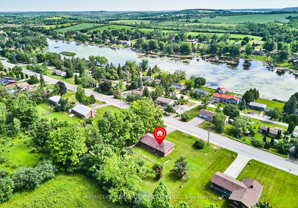 872-frank-hill-road-kawartha-lakes-ontario-x12251030