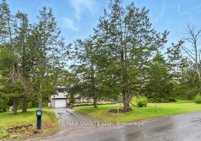 536-christiani-road-quinte-west-ontario-x12252239