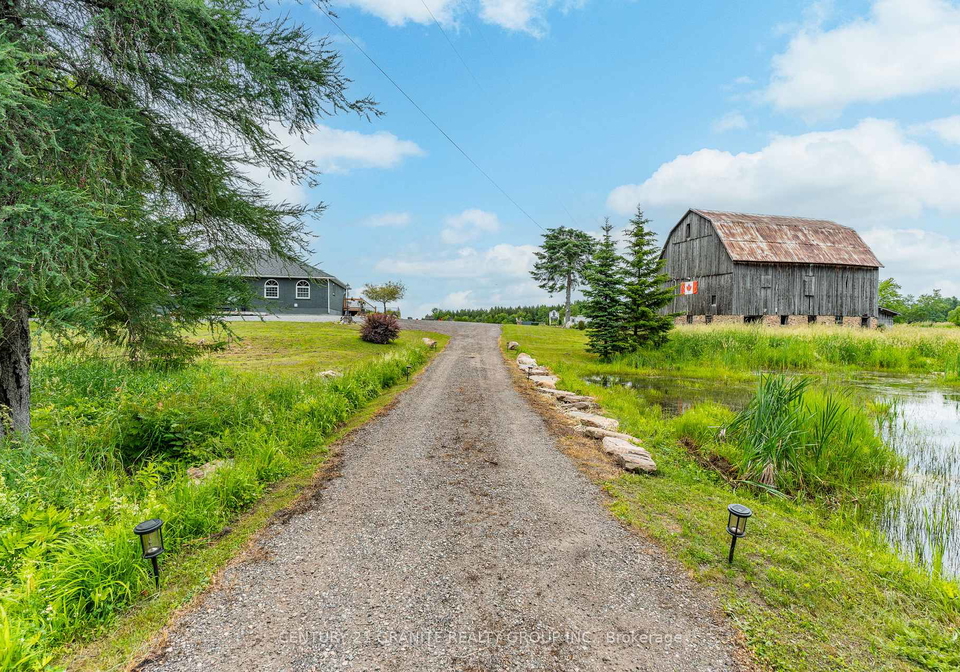 1145-hybla-road-hastings-highlands-ontario-x12253604
