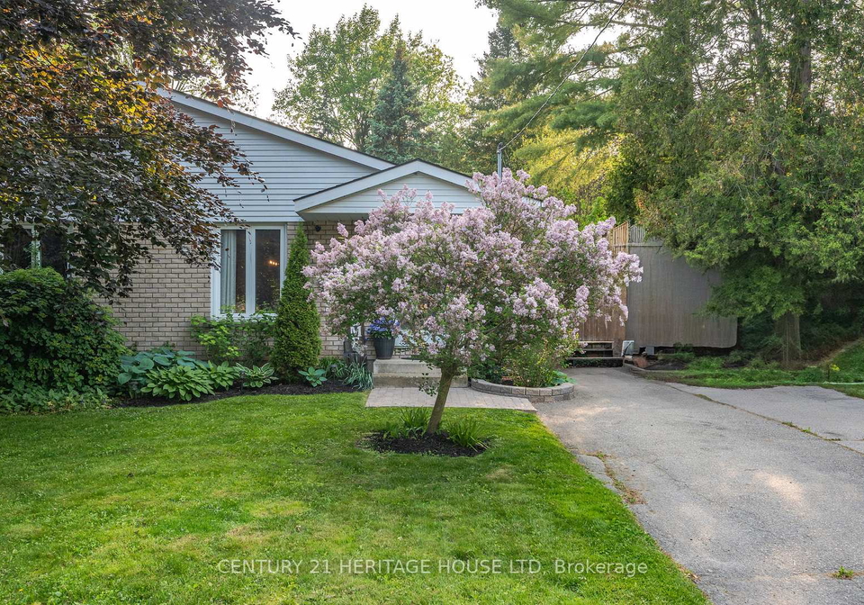 29-amelia-street-brant-ontario-x12254321