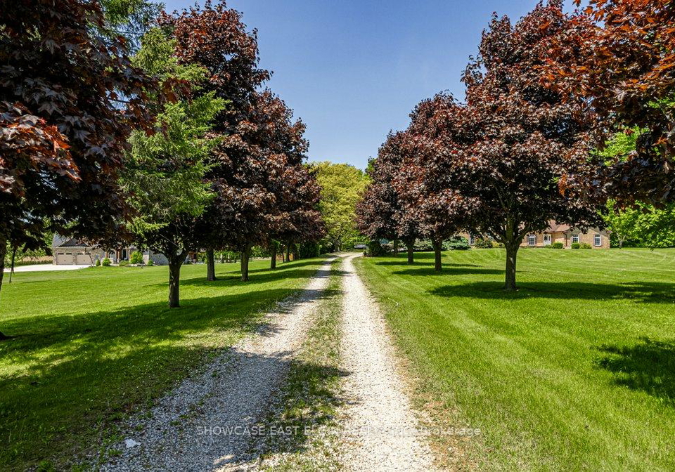 8709-springfield-road-malahide-ontario-x12255321