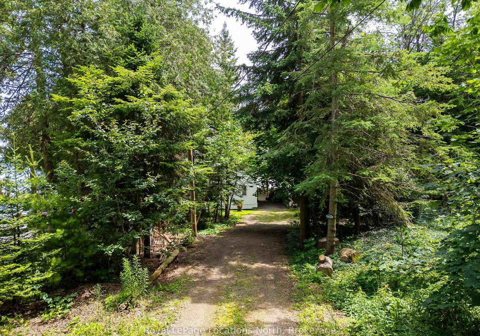 313-cedar-avenue-meaford-ontario-x12256586