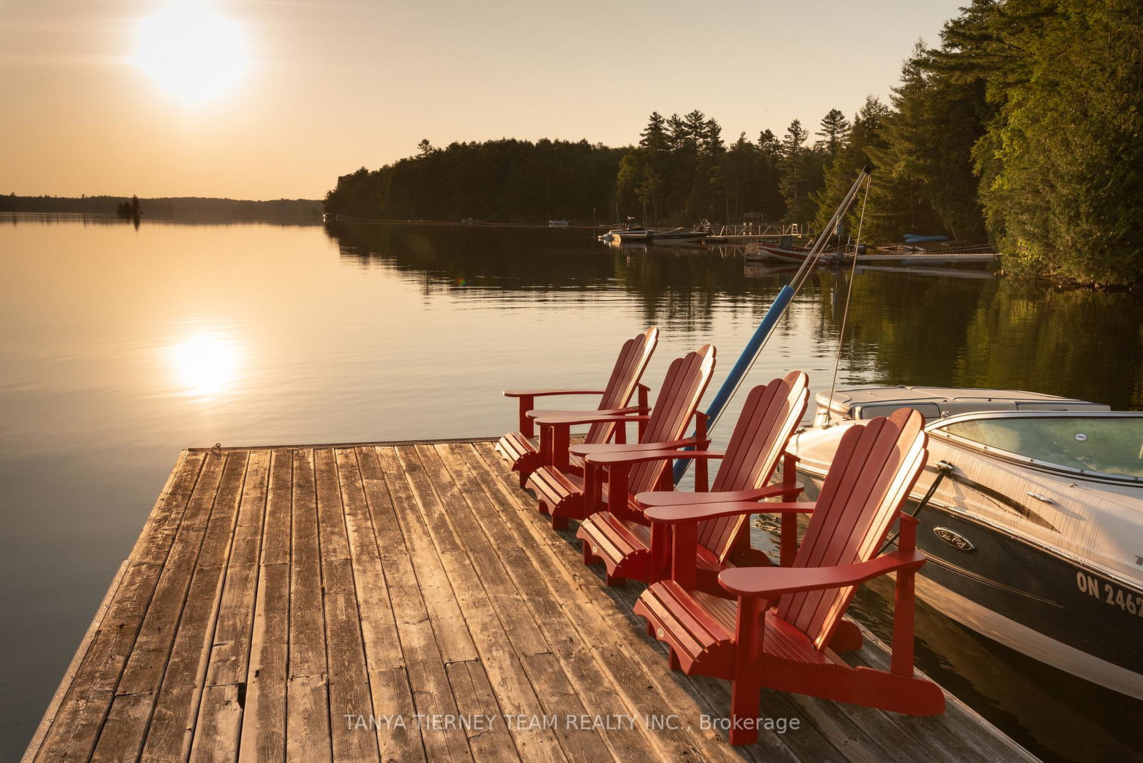 86-fire-route-74d-north-kawartha-ontario-x12257338