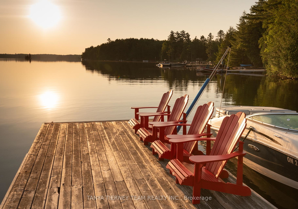 86-fire-route-74d-north-kawartha-ontario-x12257338