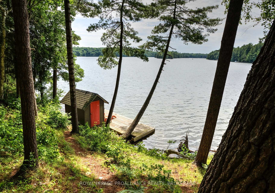 39-shoal-lane-frontenac-ontario-x12262429