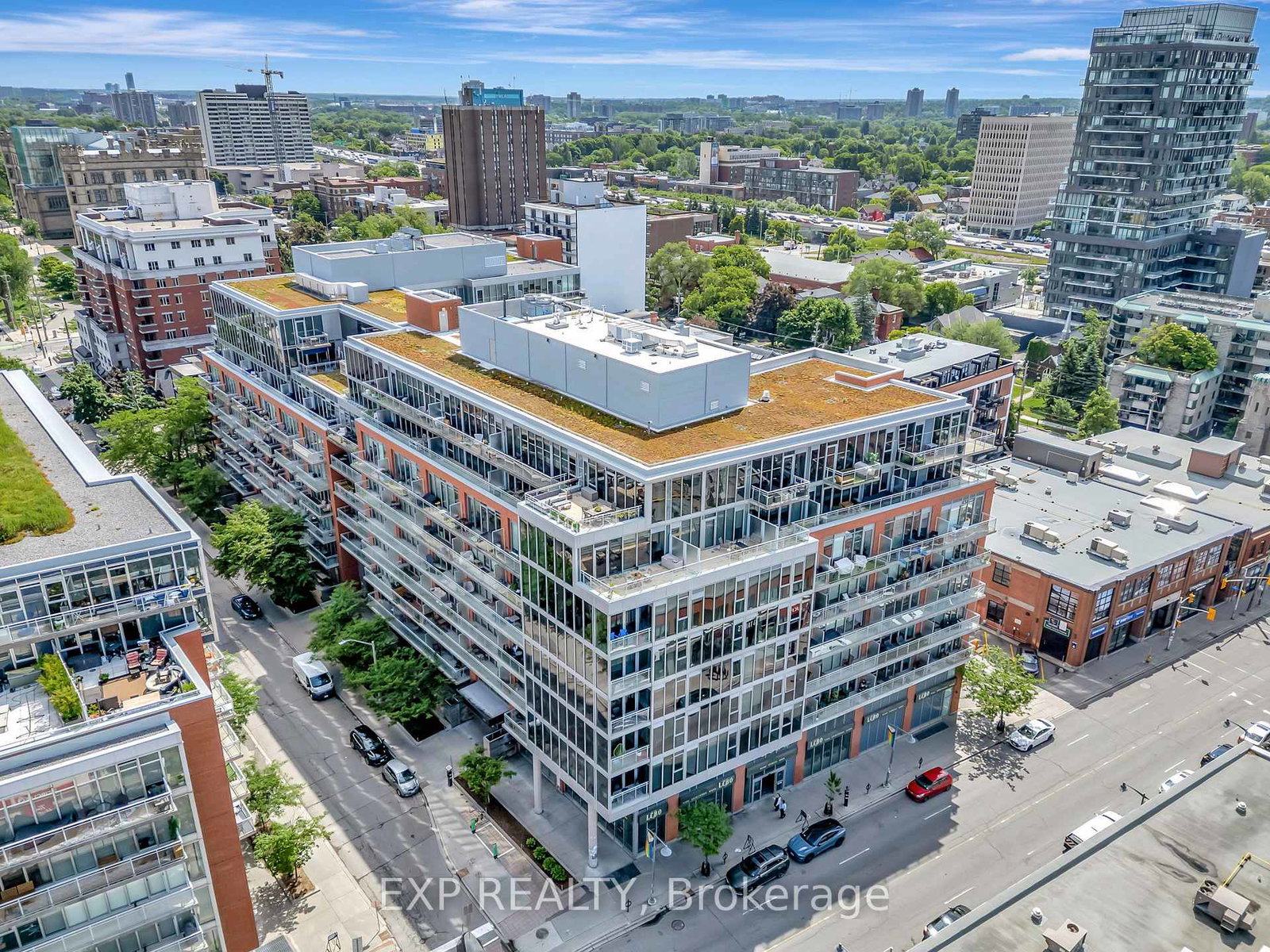 360-mcleod-street-ottawa-ontario-x12263198