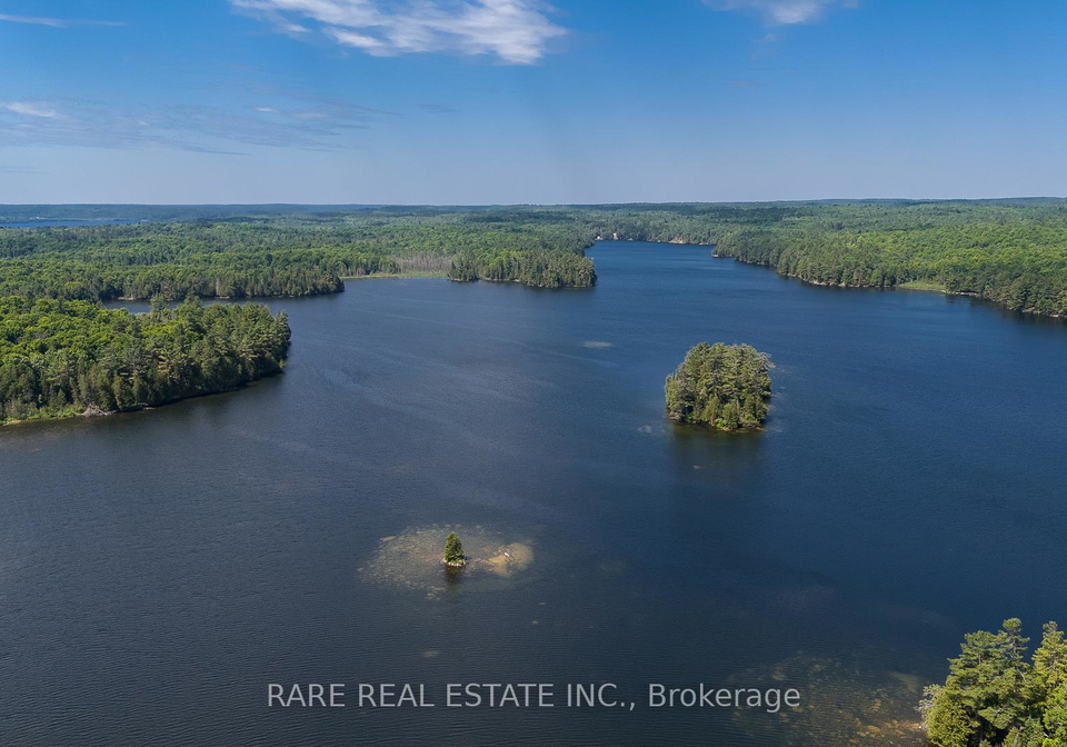 447-hardwood-ridge-road-lanark-highlands-ontario-x12263214