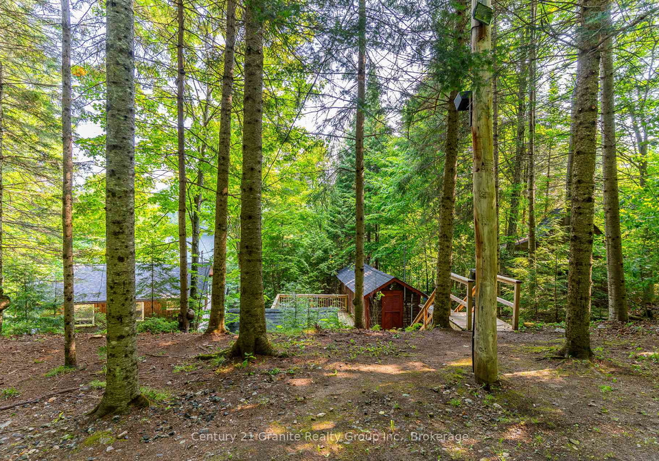 1225-rowbotham-lane-highlands-east-ontario-x12263876