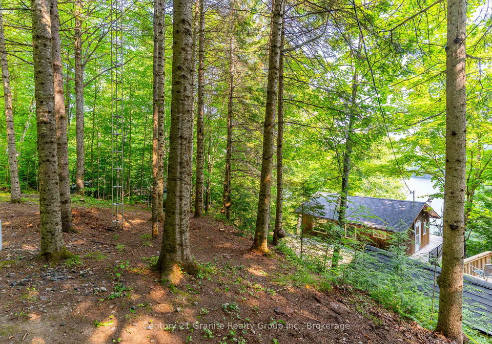 1225-rowbotham-lane-highlands-east-ontario-x12263876