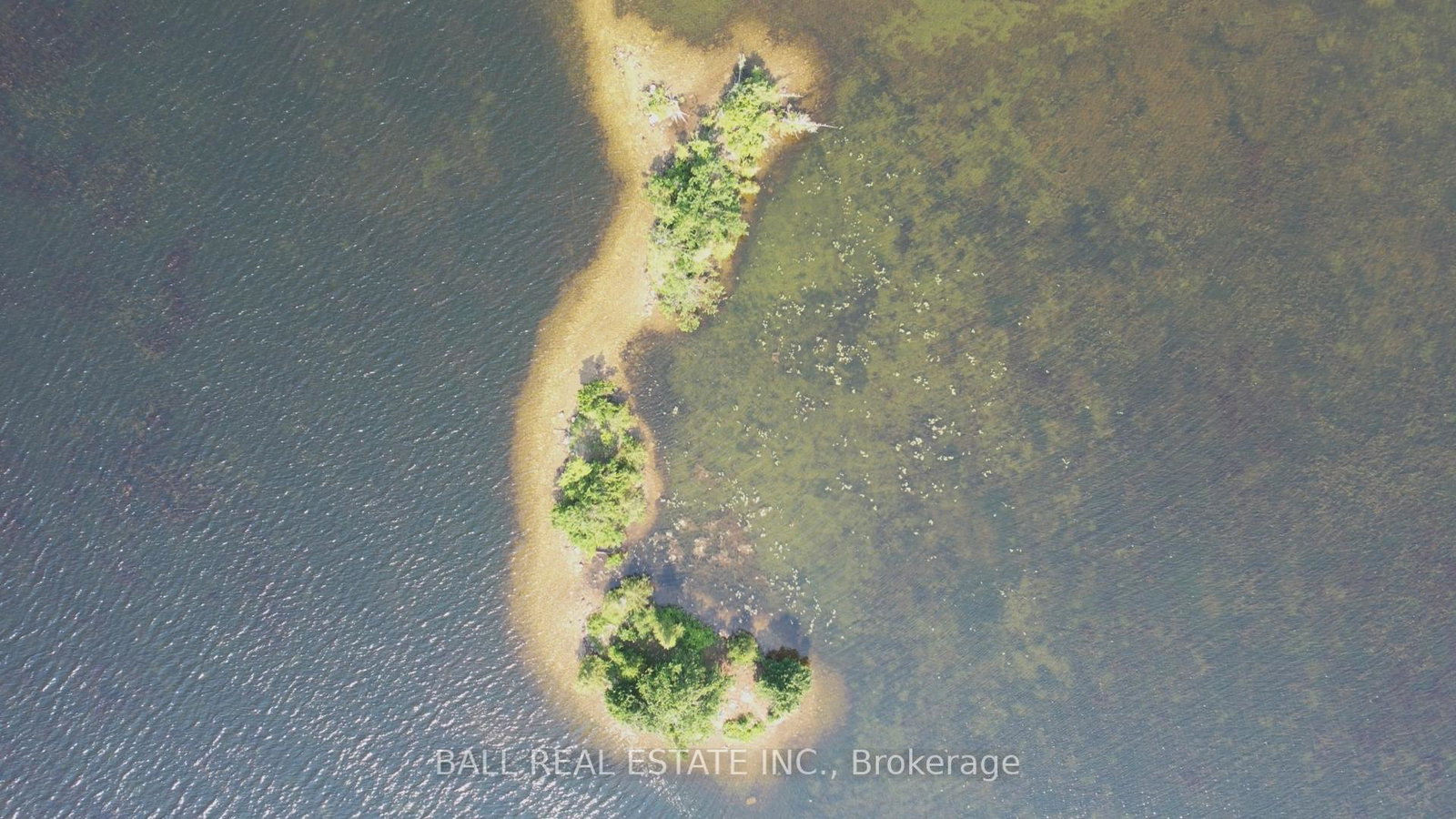 pt-lt-1-con-5-island-kawartha-lakes-ontario-x12265048