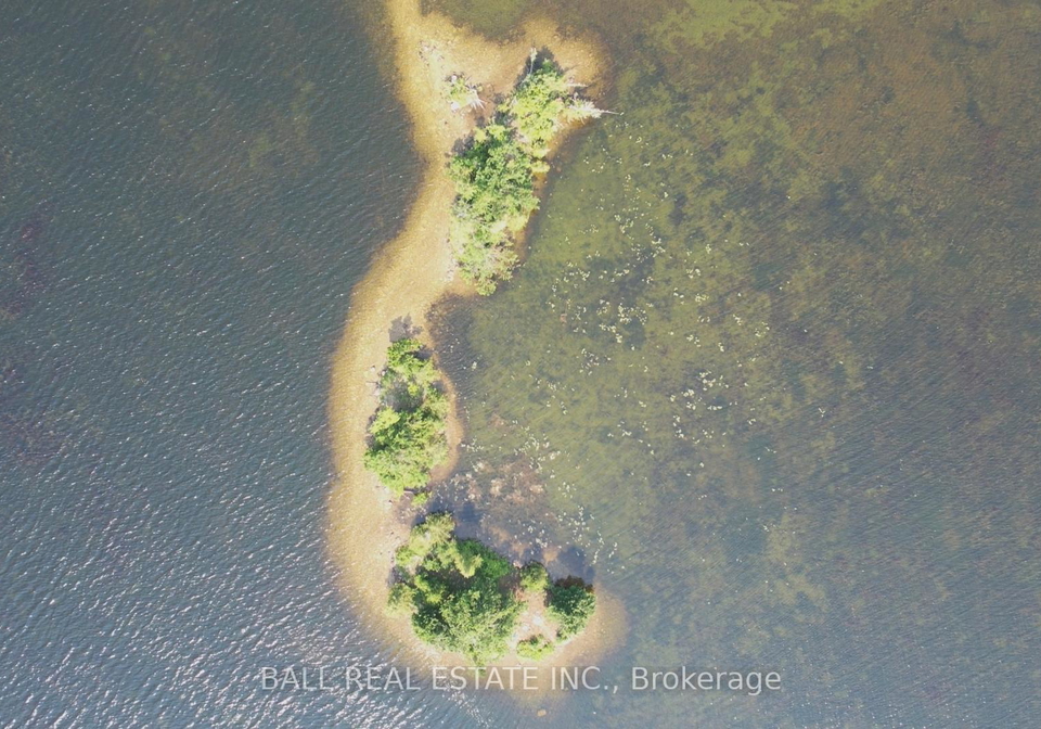 pt-lt-1-con-5-island-kawartha-lakes-ontario-x12265048