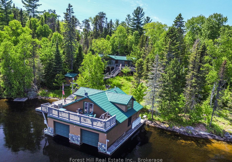 10365-rabbit-temagami-ontario-x12265696