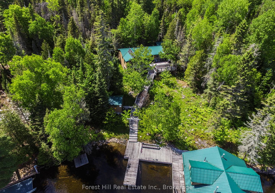 10365-rabbit-temagami-ontario-x12265696
