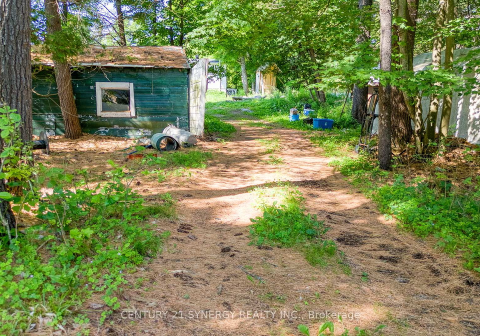 184-sugarbush-road-lanark-highlands-ontario-x12266394
