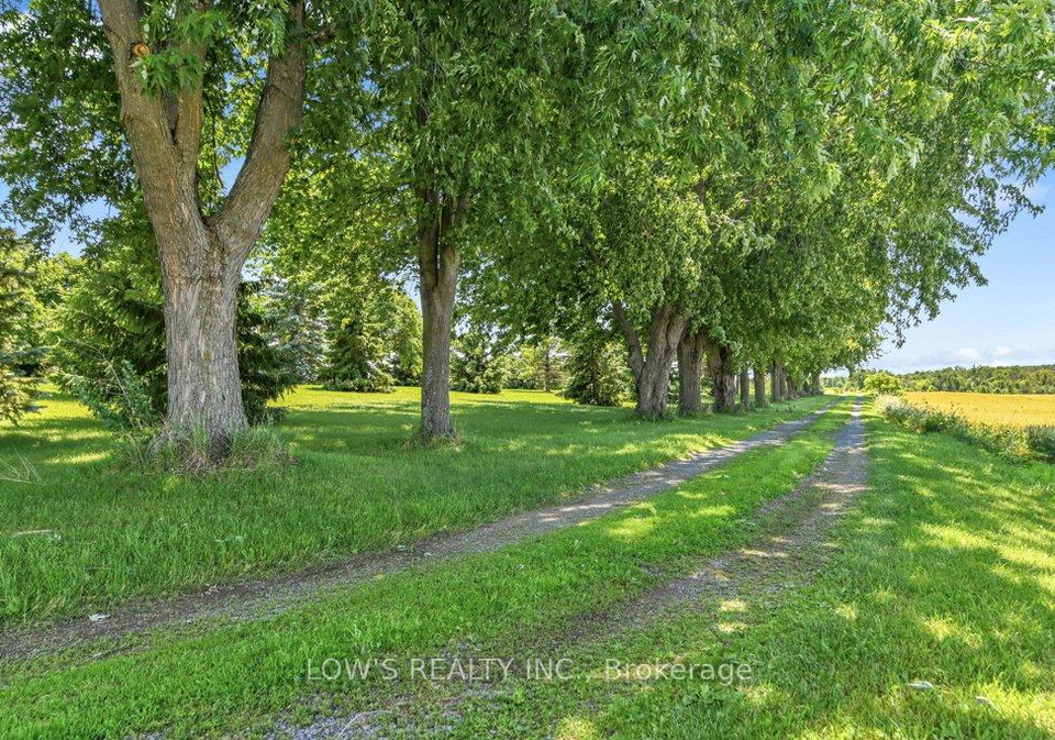 19905-county-road-24-north-glengarry-ontario-x12266872