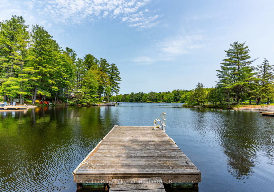 1700-kushog-lake-road-algonquin-highlands-ontario-x12267723