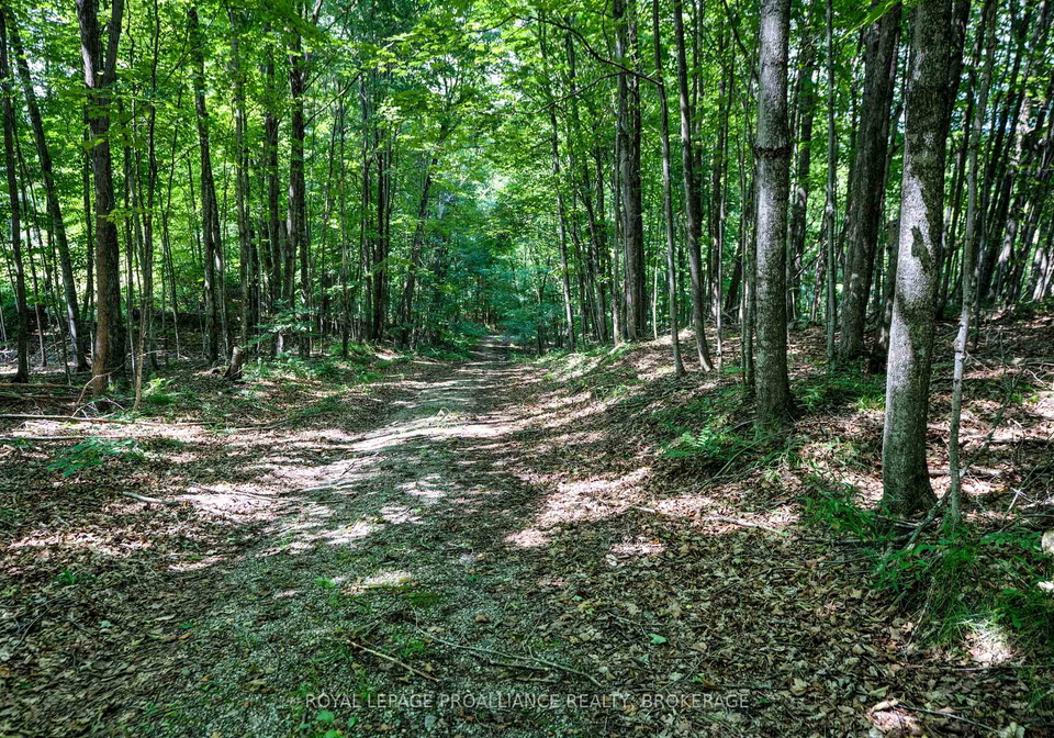 98-rocky-ridge-lane-rideau-lakes-ontario-x12273269