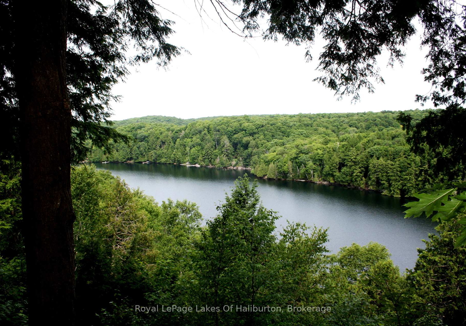 1287-precipice-road-dysart-et-al-ontario-x12275671