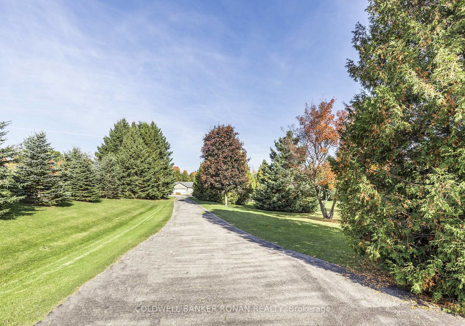 20-mountainview-road-mulmur-ontario-x12276547