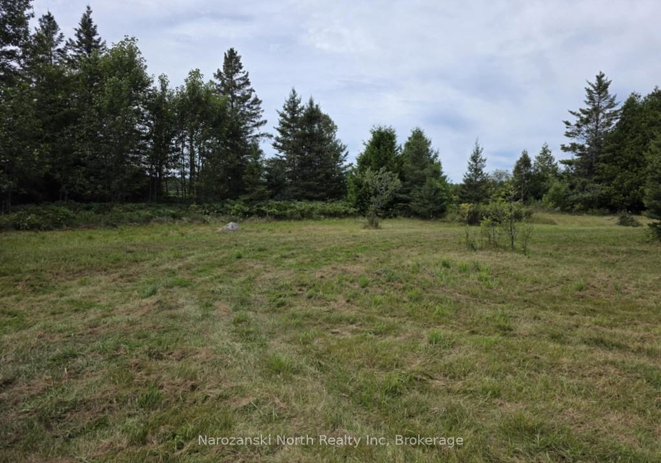 1119-blue-road-central-manitoulin-ontario-x12277753