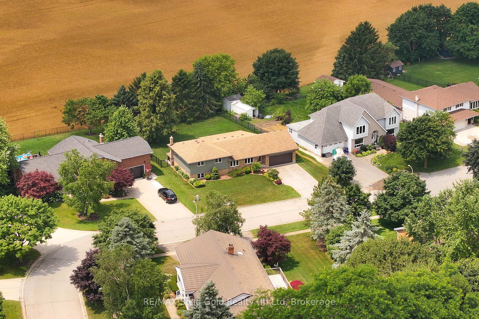 131-st-ann-avenue-wilmot-ontario-x12278065