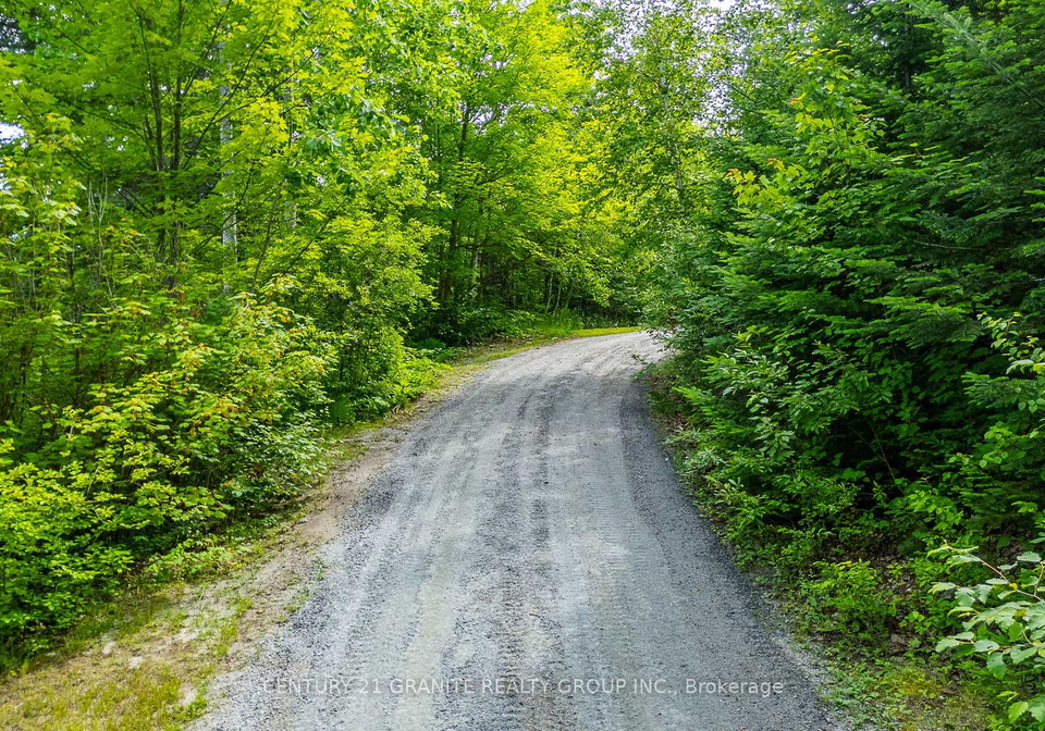928-lake-st-peter-road-hastings-highlands-ontario-x12278722