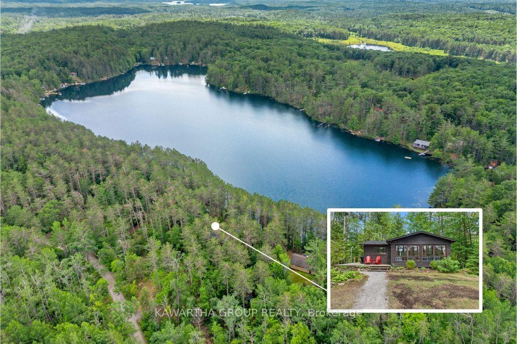 1339-spar-lake-road-minden-hills-ontario-x12279399