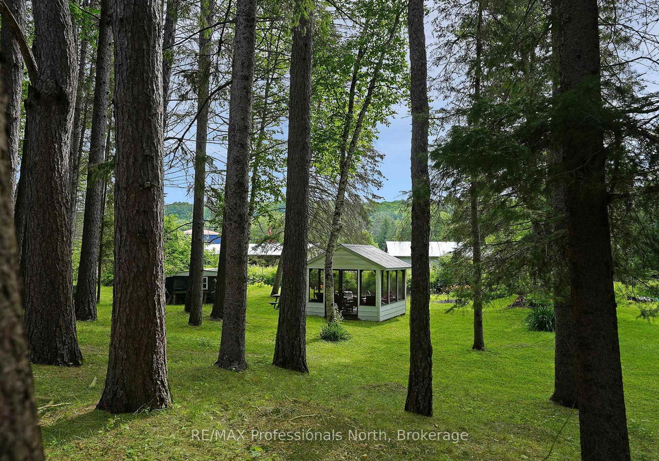 10-stouffer-street-minden-hills-ontario-x12280086