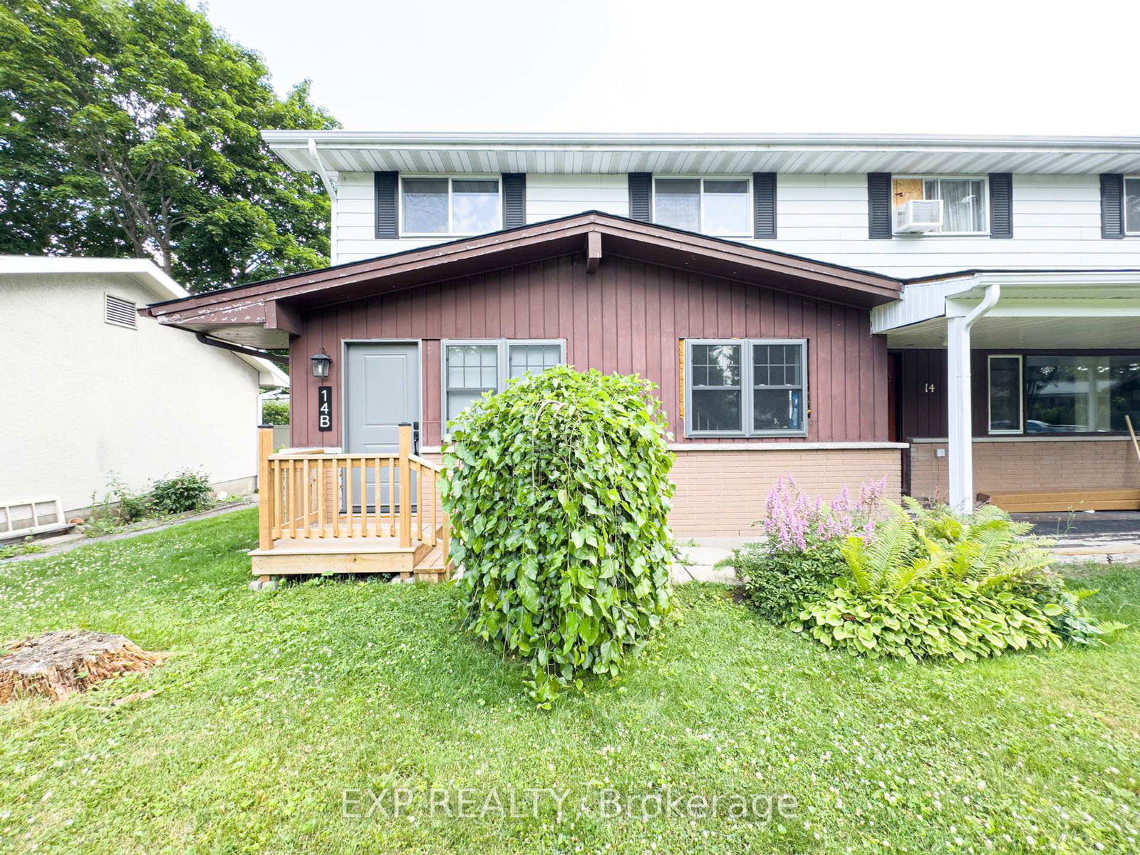 14-ascot-avenue-ottawa-ontario-x12281451