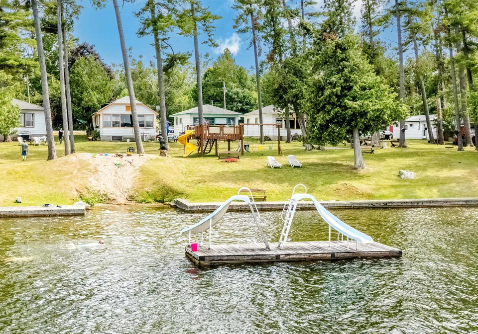 36-goodman-road-kawartha-lakes-ontario-x12282183