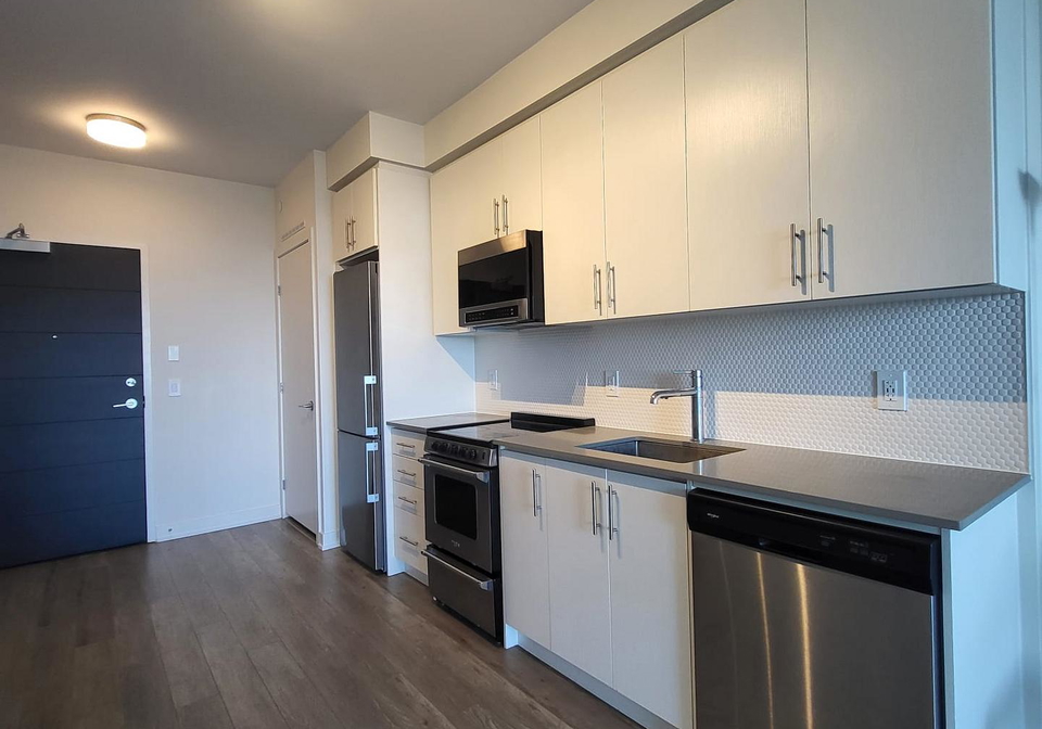 212-king-william-street-hamilton-ontario-x12284449