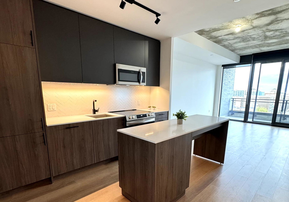10-james-street-ottawa-ontario-x12289655