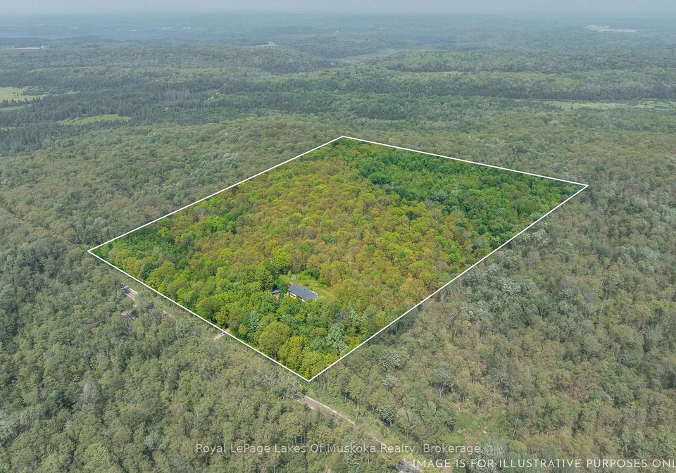 1101-starratt-road-ryerson-ontario-x12290310