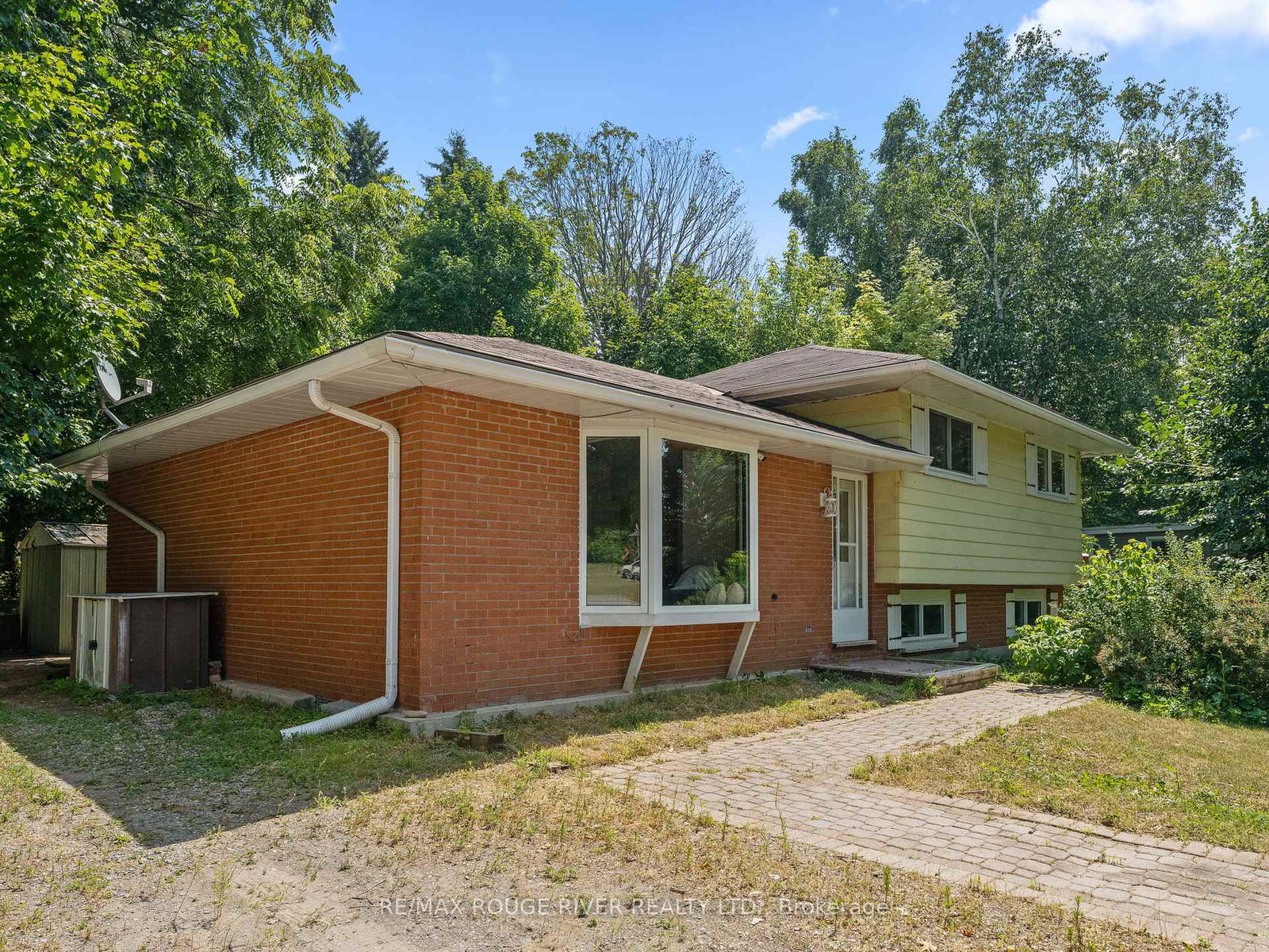 17-george-street-brighton-ontario-x12290743